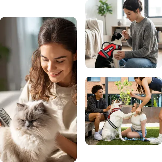 Collage of people with their emotional support animals: a woman grooming a fluffy gray cat, a woman training a black-and-white dog wearing a red support animal vest, and a couple playing in a yard with a dog wearing a red support animal vest